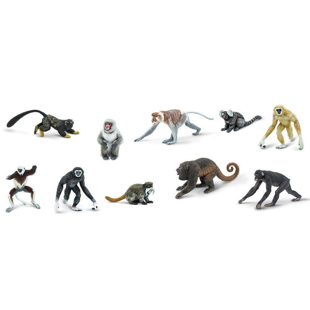 TOOB - Primates