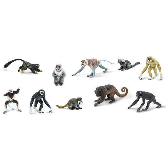 TOOB - Primates
